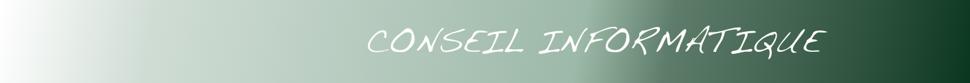                 CONSEIL INFORMATIQUE