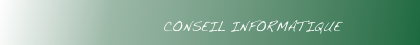                 CONSEIL INFORMATIQUE